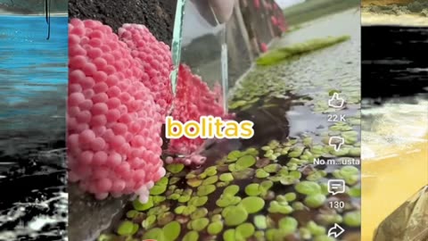 Just Keep watching 😜 #shorts #viralvideos #trending #funnyshorts #shortsfeed #memes #funny #anime