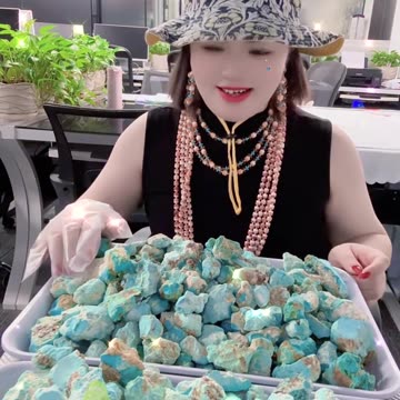 20250802-6 Natural Original Turquoise Rough Hide Uncut Jade Pose