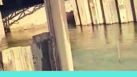 Seawalls Are Constructed 😲😆