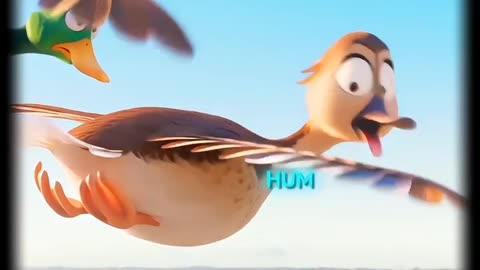 Animated Funny bird