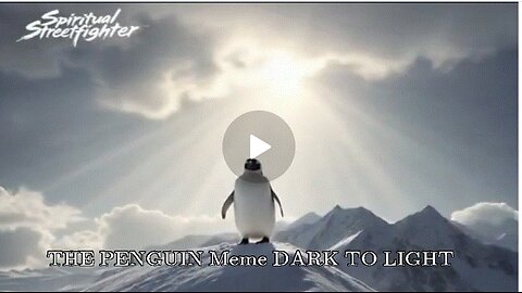 THE PENGUIN Meme DARK TO LIGHT- Spiritual Streetfighter17