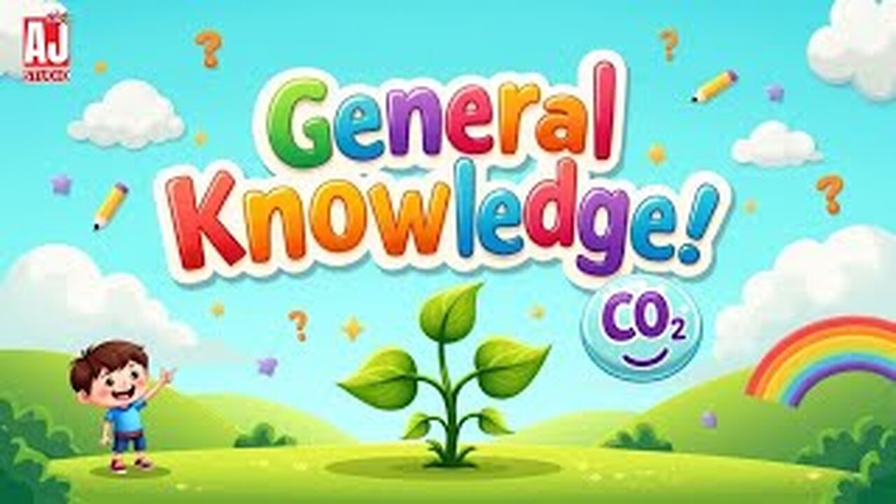 1 Hour of Fun Learning for Kids | ABC, Numbers, Animals, Stories & More😊