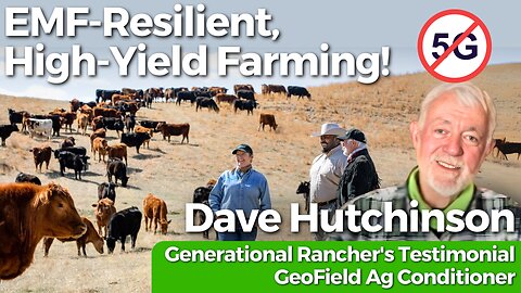 EMF Protection for Farms with GeoField Ag Conditioner | Dave Hutchinson - Rancher's Testimonial