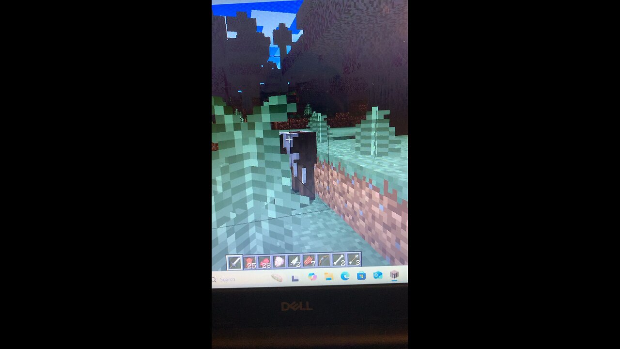 Playing Minecraft