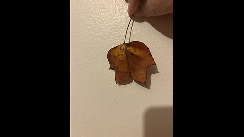 Using Different Tool