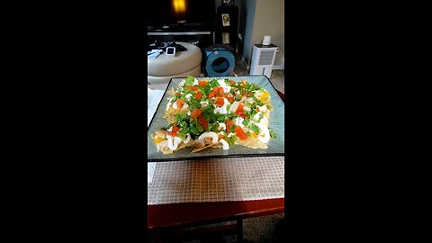Eating Garden Fresh Gourmet Original Tortilla Chips, Dbn, MI, 6/30/25