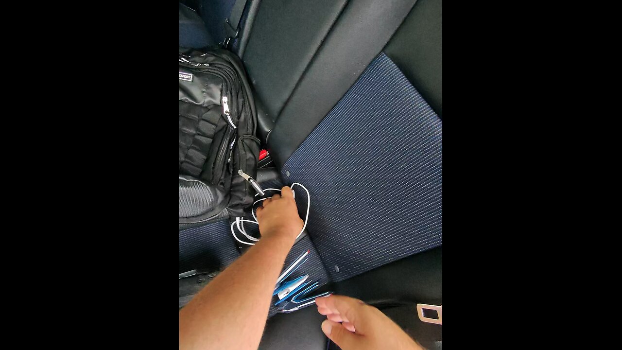 Living in my car with a new little buddy