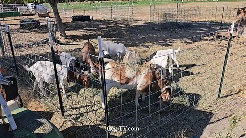 Graham Family Farm NW: 9:25 AM August 22 2025