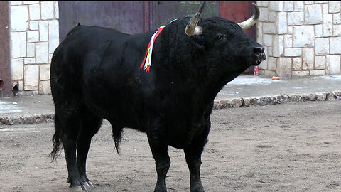 2025 10 11 ALFARA DEL PATRIARCA PEÑA ÚLTIMO TERCIO