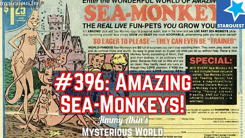 The Amazing Sea-Monkeys! - Jimmy Akin's Mysterious World