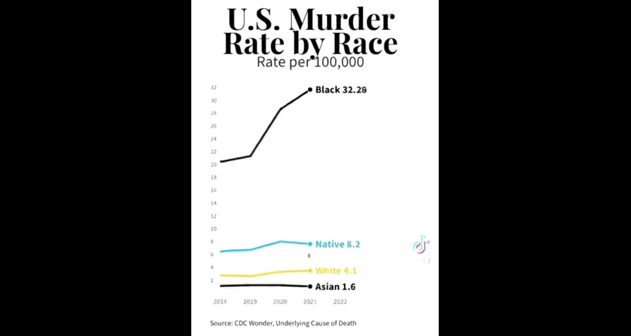 U.S. Murder Rate By Race
