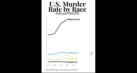 U.S. Murder Rate By Race