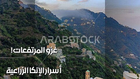 أسرار الإنكا الزراعية : كيف غزوا المرتفعات؟