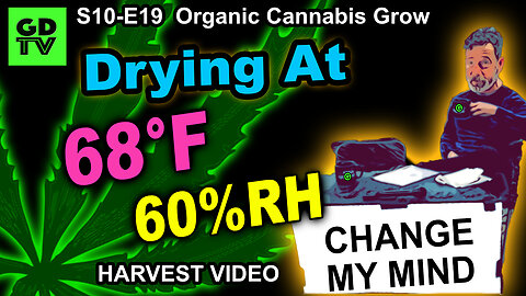 S10 E19 – Harvest Time – Best Way to Dry Cannabis Using Dew Point
