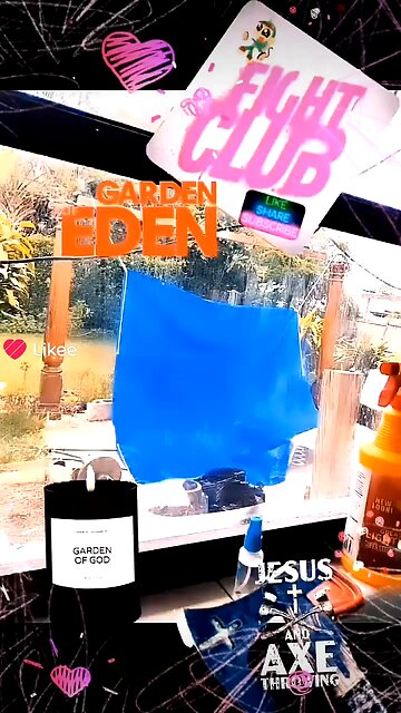 SPACE 🌌 MONKEY BUSINESS 😲