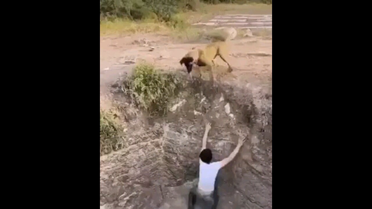 True friend