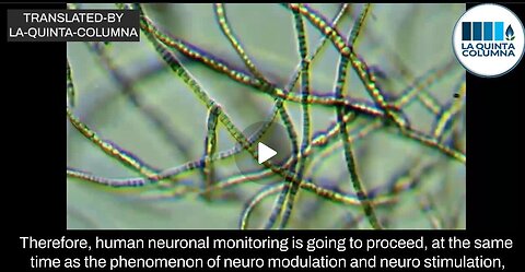 "Unveiling the Role of Graphene-based Carbon Nanotubes in Pfizer's Innovative Vaccine"