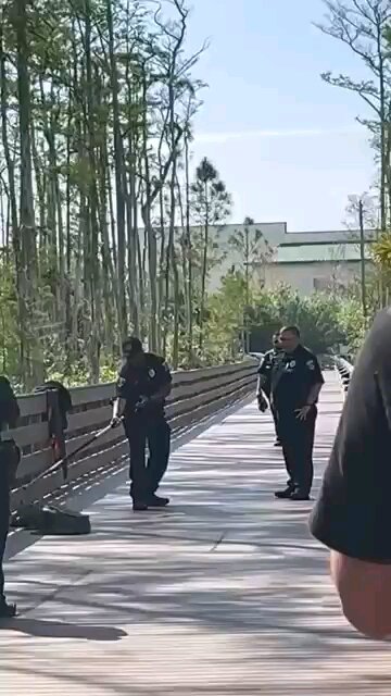 don't try this at home