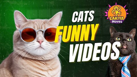 Funniest Dogs and Cats of 2025