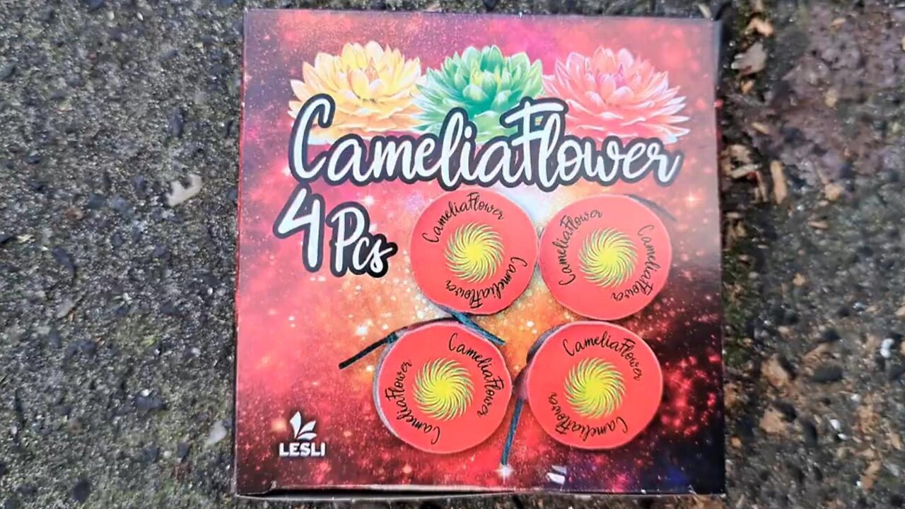 Lesli Vuurwerk - Cameliaflower