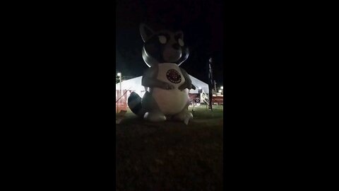 animal