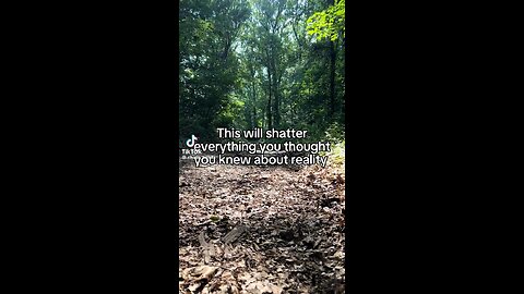 Real Reality Really?