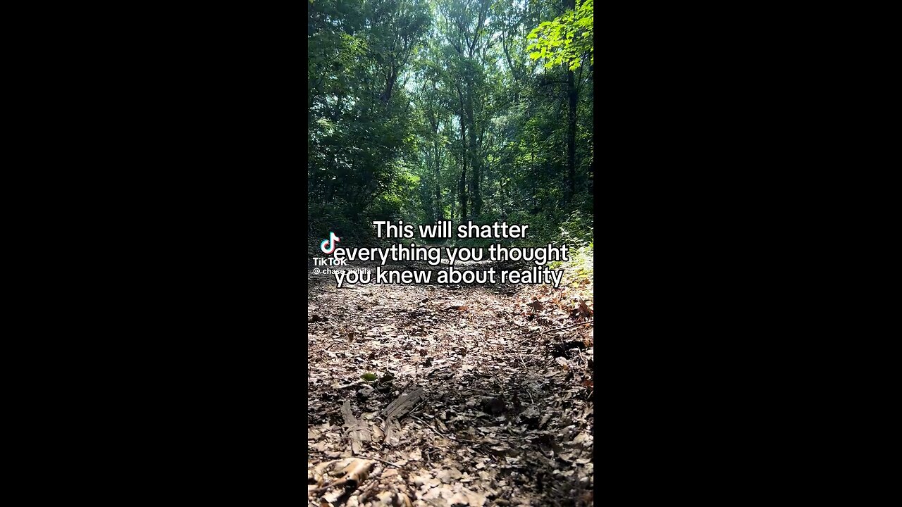 Real Reality Really?