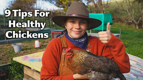 9 Essential Tips for Raising Healthy Backyard Chickens
