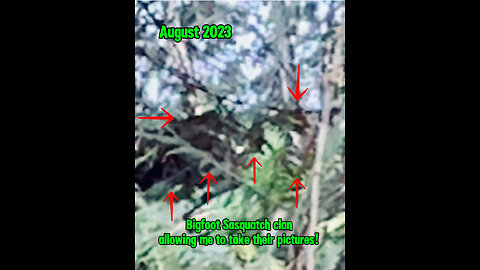 Sasquatch / Bigfoot family allowing me to take their pictures! August 2023