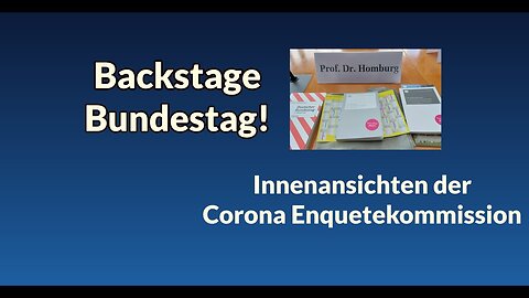 " CORONA ENQUETE-KOMMISSION DIENT DER PLANUNG ZUKÜNFTIGER PANDEMISCHER EREIGNISSE " - Stefan Homburg
