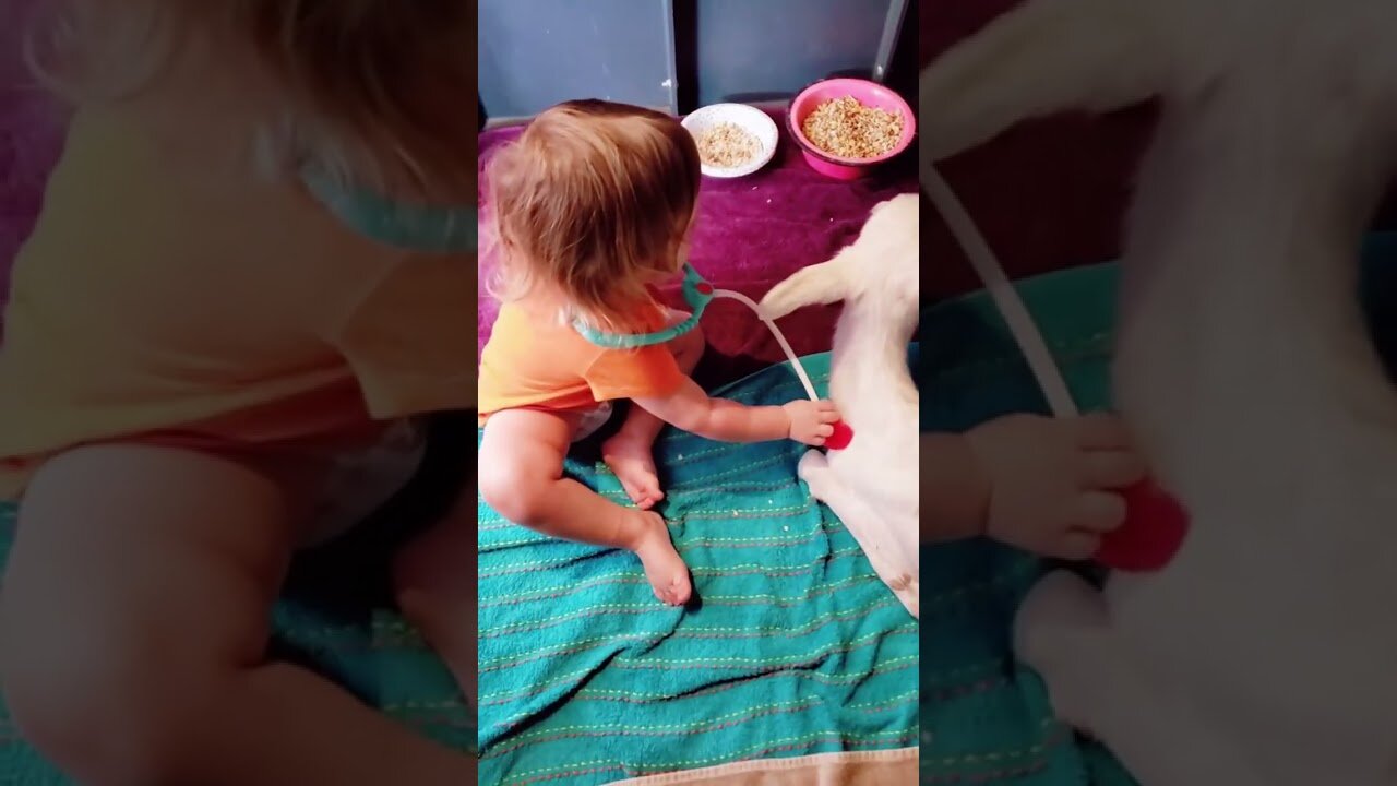 A strange and unique deer came into the mans yard and stayed with the people