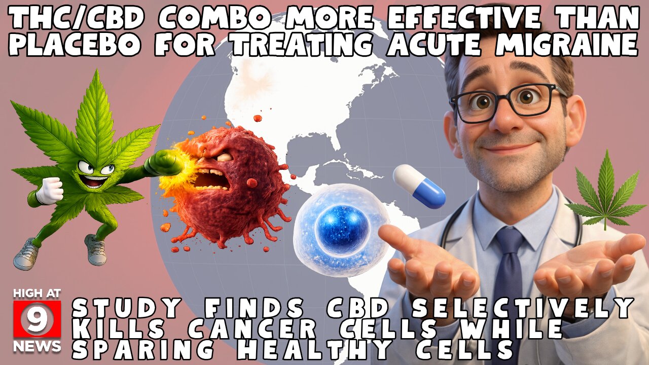 2025 Medical Cannabis Roundup