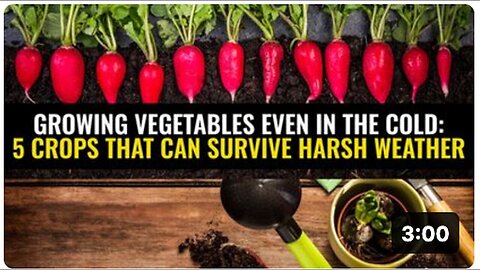 "Cultivating Cold-Resistant Vegetables: 5 Crops That Thrive in Harsh Weather"