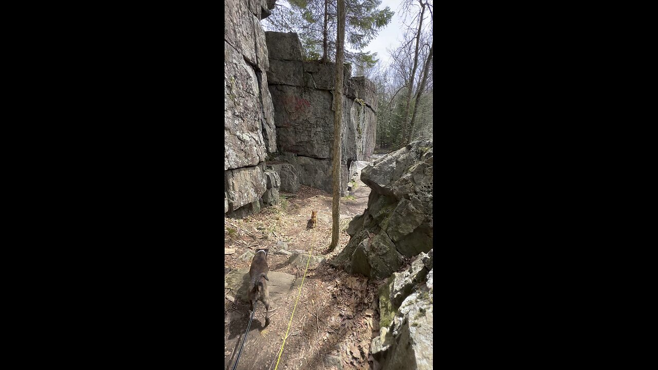 Chasing waterfalls with the dogs! Best hiking companions!