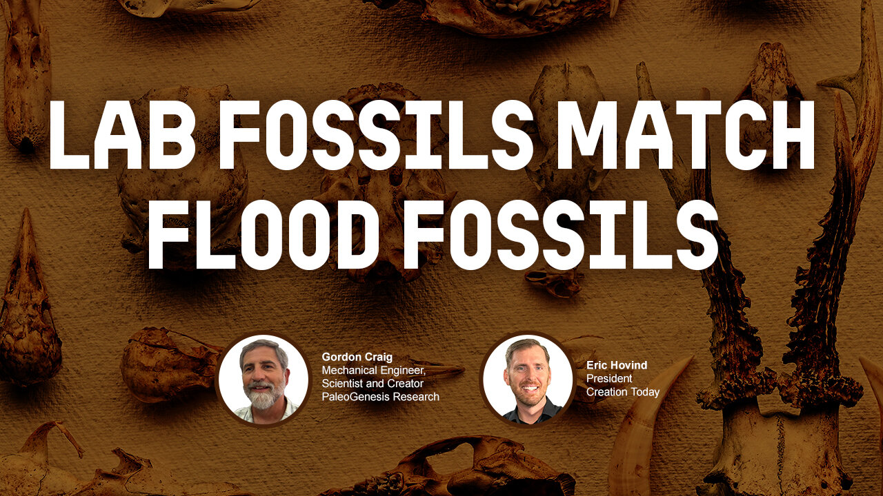 Lab Fossils Match Flood Fossils! | Eric Hovind & Gordon Craig | Creation Today Show #417
