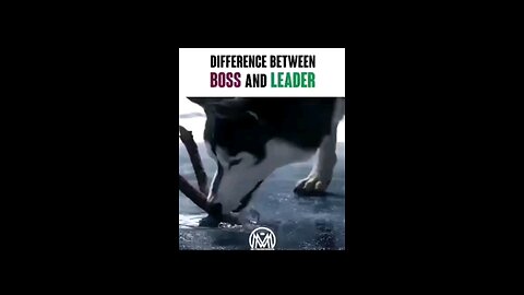 DIFFERENCE BETWEEN BOSS AND LEADER