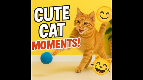 Funny Animals Doing Silly Things at Home | Viral Pet Video 2025
