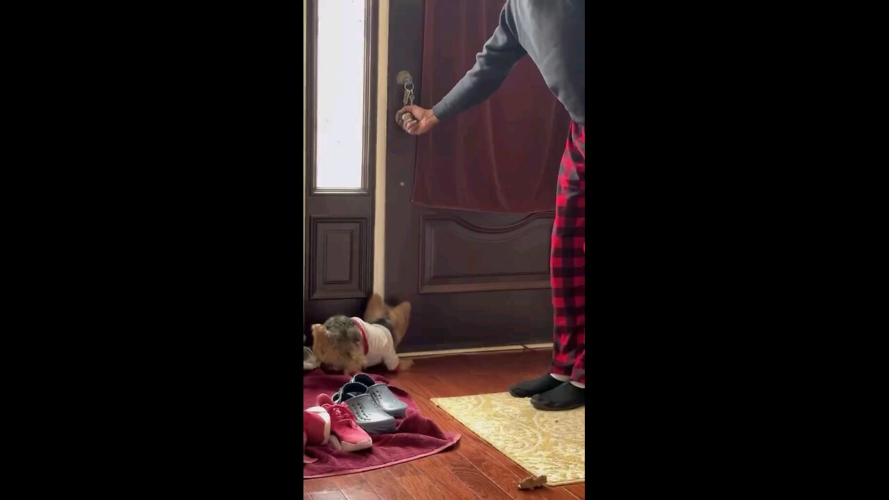 ये तो डोन है