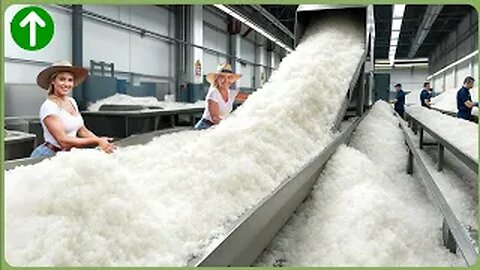 From the Salt Mines to the Dinner Table - The Story of Sea Salt
