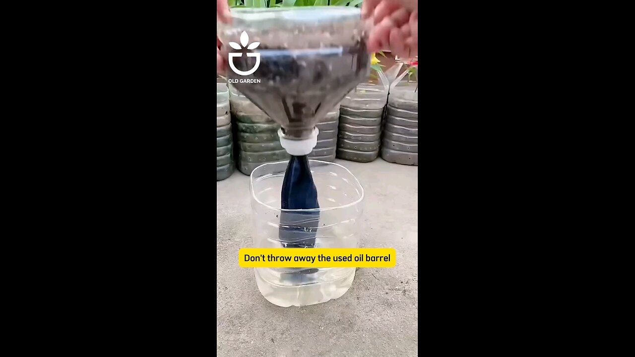 HOW TO GROW vegetables seeds in water 💦🌊💦 the same thing 😂 the