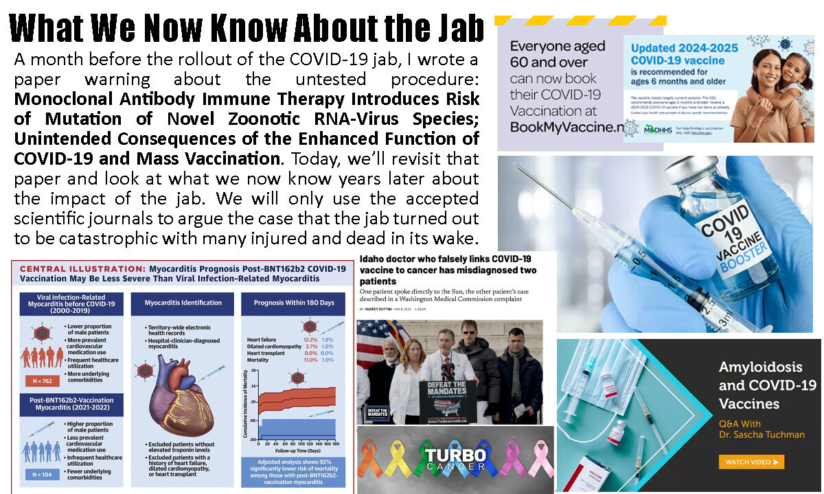 What We Now Know About the Jab. Was It Safe?