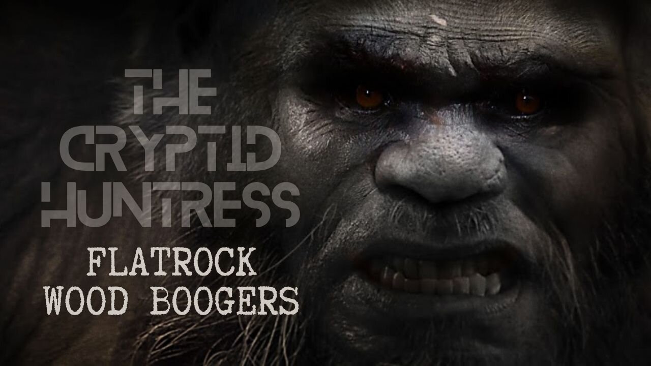 ALABAMA BIGFOOT ON MY PROPERTY WITH FLATROCK WOOD BOOGERS