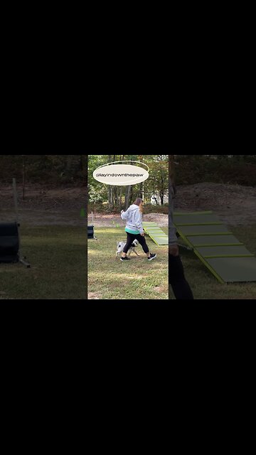 Bo's 1st Group Session with Layin Down The Paw #puppy #dog #training #texasheeler #heeler #LDTP