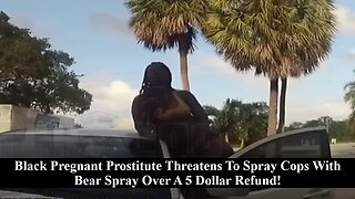 Black Pregnant Prostitute Threatens To Spray Cop With Bear Spray Over A Simple 5 Dollar Transaction!