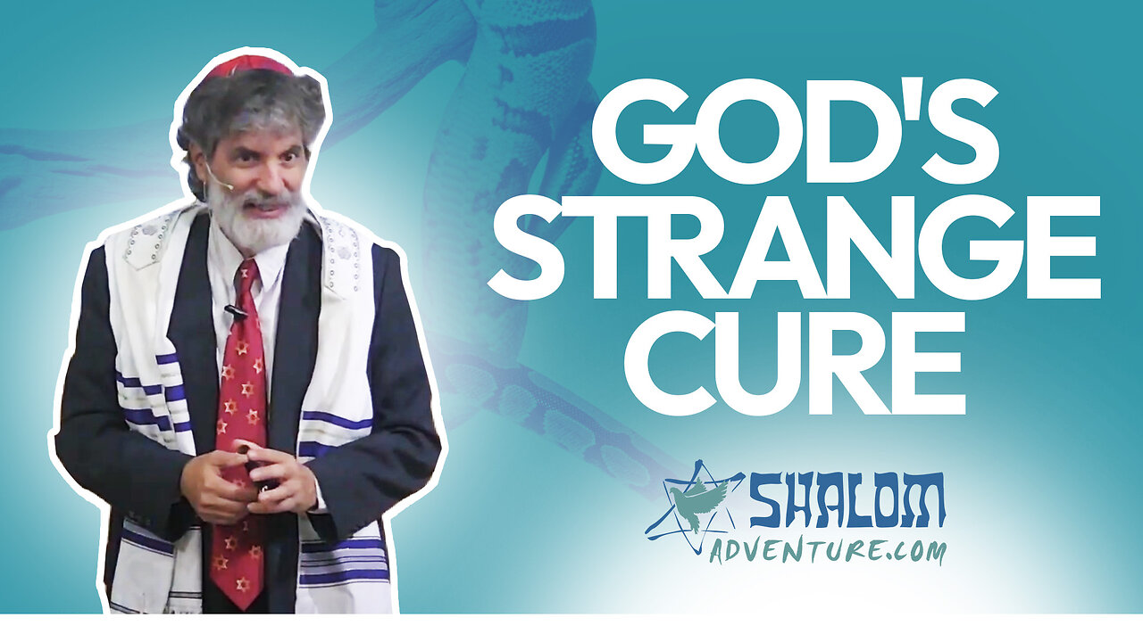 Numbers 20, 21 & Deuteronomy 2: Bitten by Snakes | Shalom Adventures