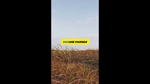 You Lose Yourself Trying to Be Everything 🐝 Find Focus, Find Sweetness 🍯✨