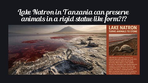 Fun Fact for Jan 3rd 2026