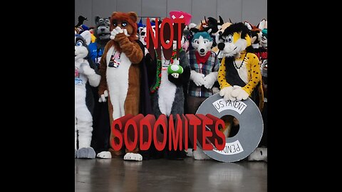 FURRIES ARE NOT SODOMITES