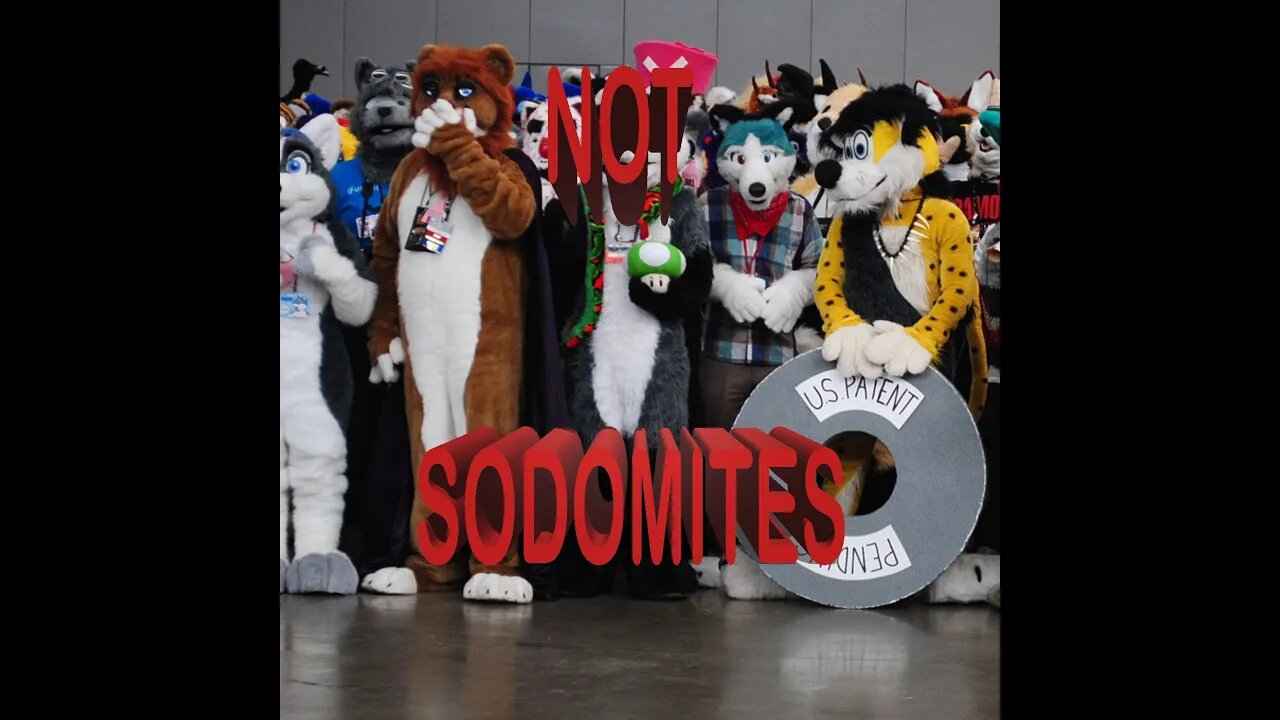 FURRIES ARE NOT SODOMITES