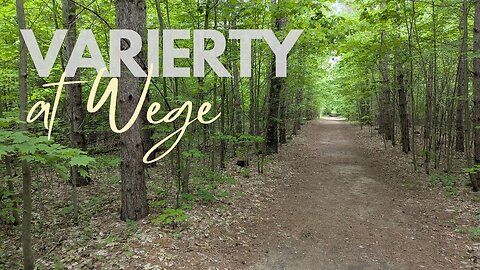 Enjoying Variety on the Trail, Connecting Trails | Hike POV, ASMR